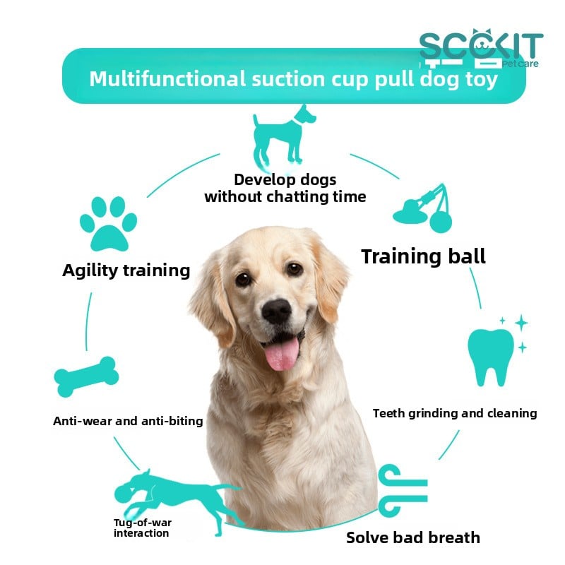 Dog toy - durable pet chew stick for grinding teeth