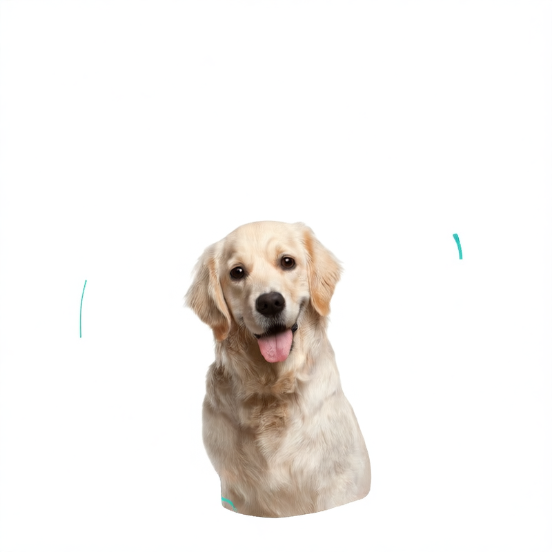 Dog toy - durable pet chew stick for grinding teeth