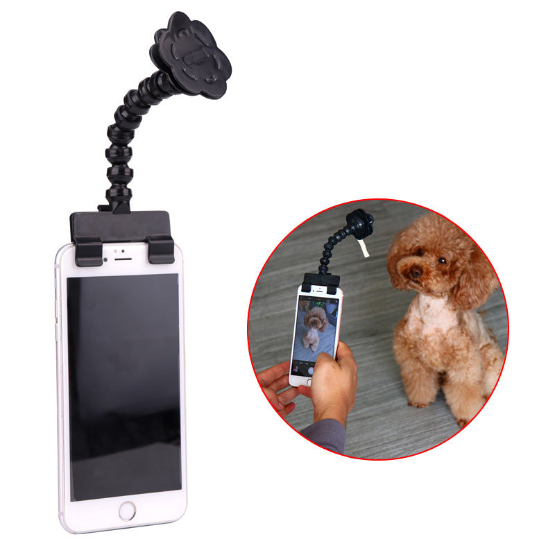 Pet selfie magic tool