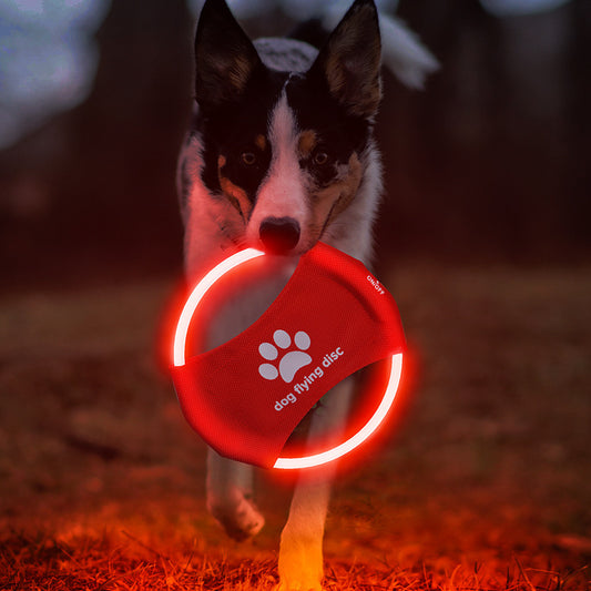 Pet luminous products LED rechargeable pet luminous Frisbee dog dog training toy pet dog dog toy Frisbee