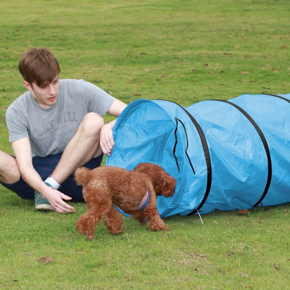 Pet tunnel tent toys