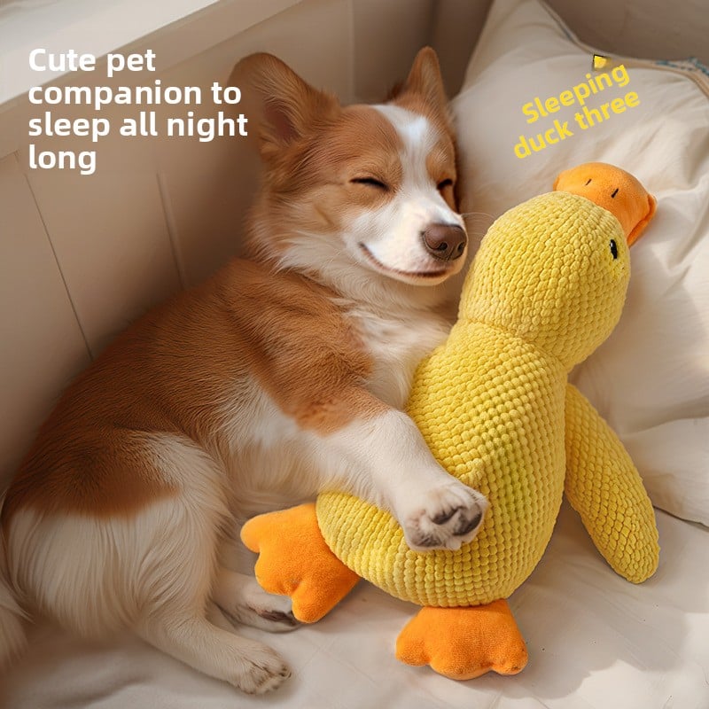 Durable and scratch-resistant pet plush toys