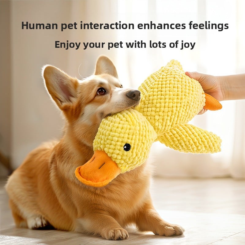 Durable and scratch-resistant pet plush toys