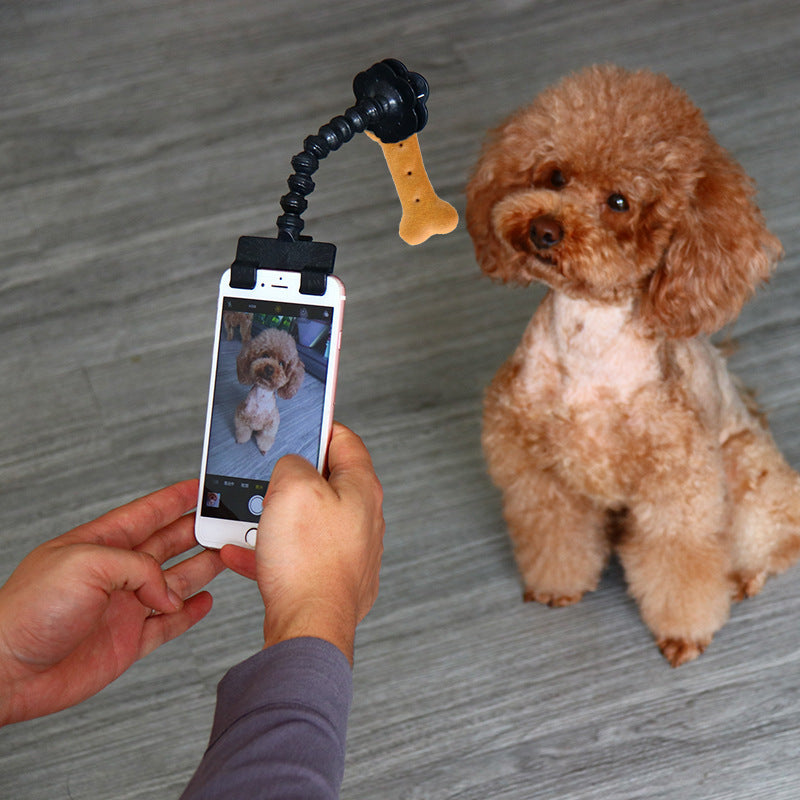 Pet selfie magic tool