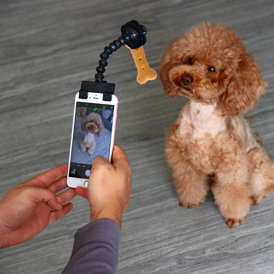 Pet selfie magic tool